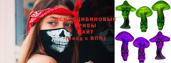 марки nbome Гусев