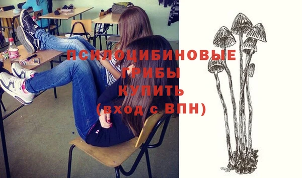 мескалин Гусь-Хрустальный