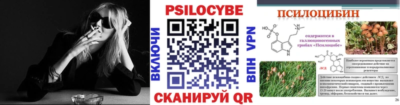 Псилоцибиновые грибы Cubensis  kraken как войти  Камышин  закладка 