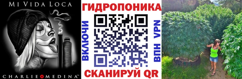 наркошоп  Камышин  Бошки марихуана тримм 